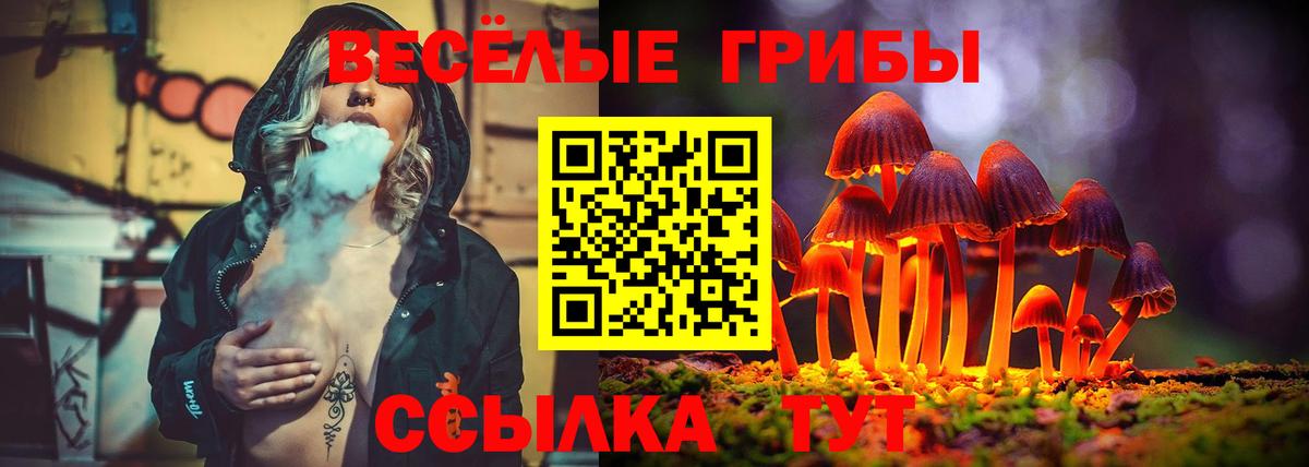Городец  Галлюциногенные грибы прущие грибы  Вход с VPN 
